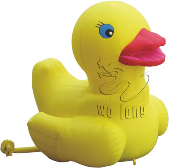 Yellow Duck